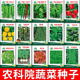 农科院种子蔬菜种孑番茄中国农科院菜籽辣椒籽黄瓜种籽油菜生菜