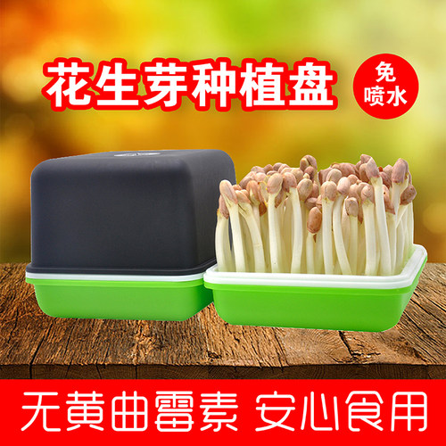 花生水培盒花生芽发芽盆种植神器