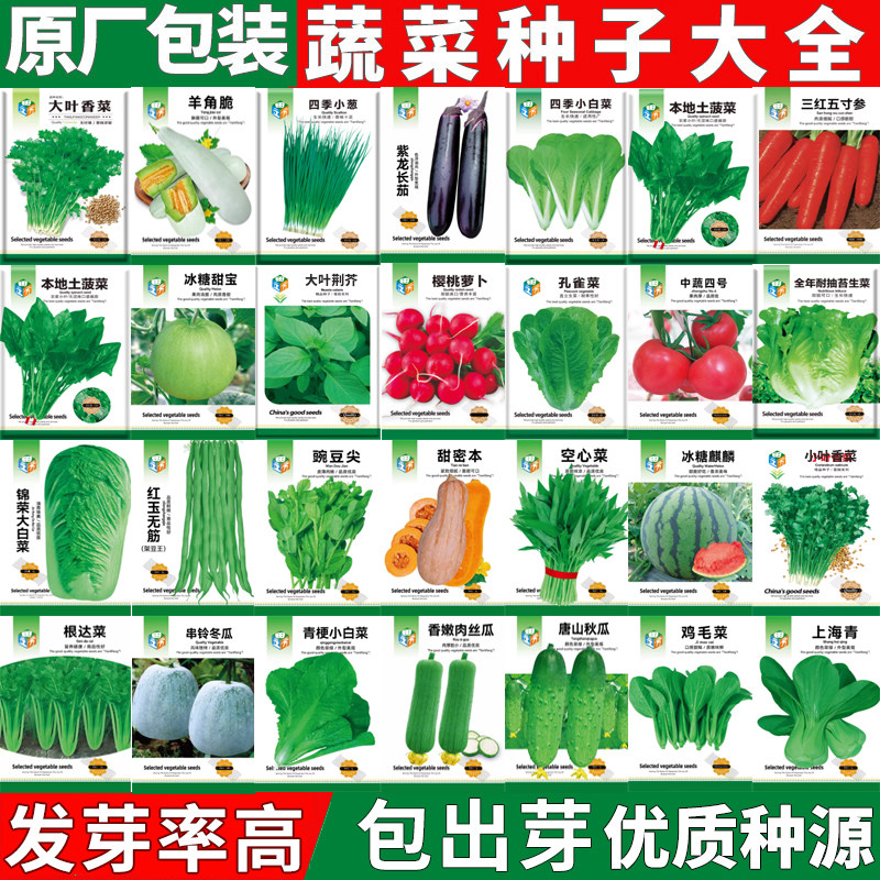 蔬菜种子番茄甜瓜黄瓜西瓜西红柿茄子辣椒种子葫芦冬瓜豆角南瓜籽