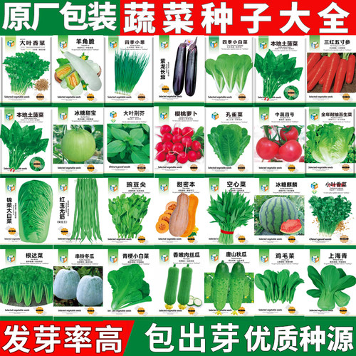 番茄黄瓜辣椒豆角南瓜种子大全