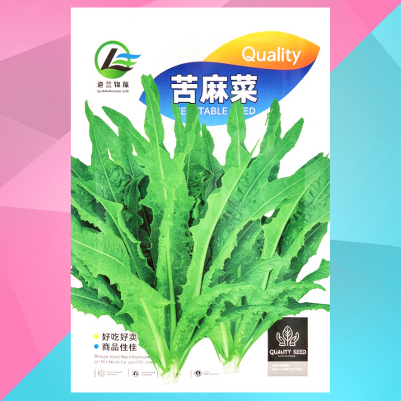 苦麻菜种籽蔬菜种子苦苦菜籽菜种籽四季苦菜野菜苦荬菜苦麻菜种子
