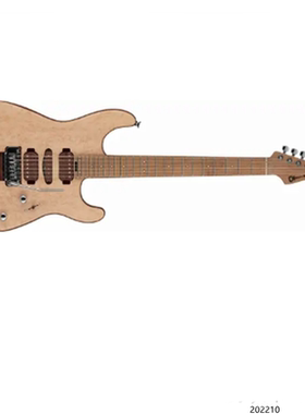 Guthrie Govan Signature Model  Birdseye MapleTop签名款电吉他