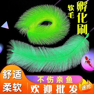 孵化草孵化毛刷锦鲤产卵草 鱼卵孵化刷金鱼繁殖水产养殖鱼巢 包邮