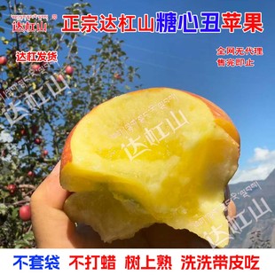 [京东到家]正宗康定高原达杠糖心丑苹果生态甜脆红富士水果年货礼