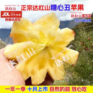 【京东】正宗康定高原达杠糖心丑苹果生态甜脆红富士水果年货好礼