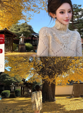 viola【冰晶雪花】e*s蕾丝之王私服1w定制对版yb蕾丝重工毛衣