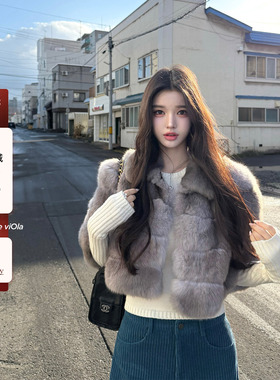 viola【本色贝贝狐】市场Zui浅色号巨软糯顺滑芬兰saga级幼狐