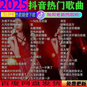 wav 2025抖音热门歌曲无损车载音乐下载包高音质MP3歌曲dj mp4