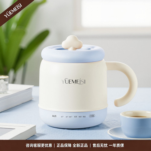 小型电热杯炖煮一体养生杯电煮杯