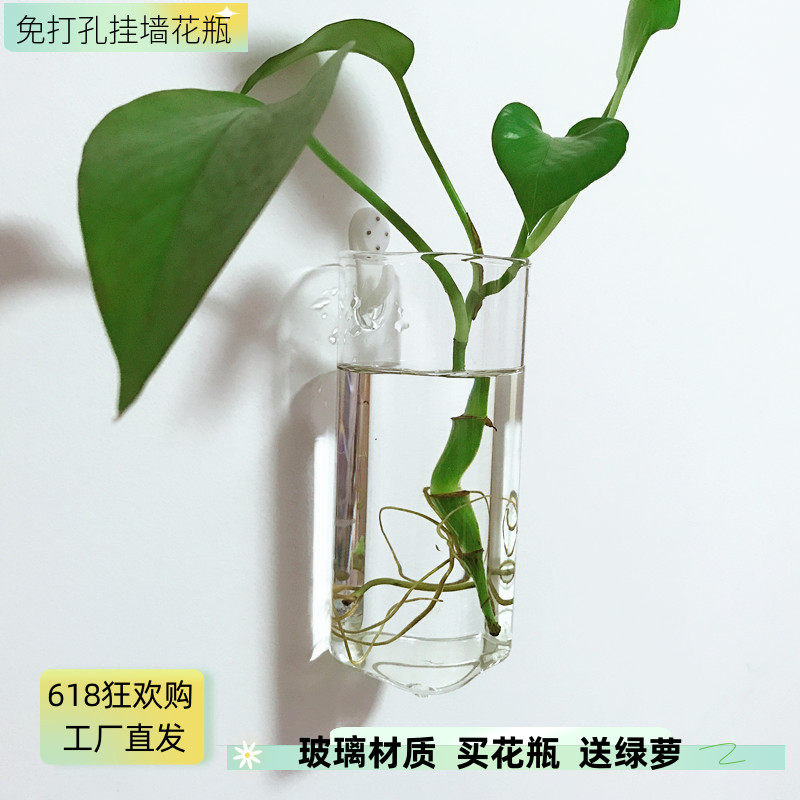 壁挂水培植物花瓶透明小清新现代简约客厅卧室挂墙上装饰玻璃花盆