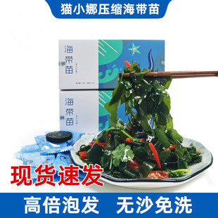 猫小娜压缩海带苗圆饼干货即食鲜嫩海带苗干净无沙独立小包装