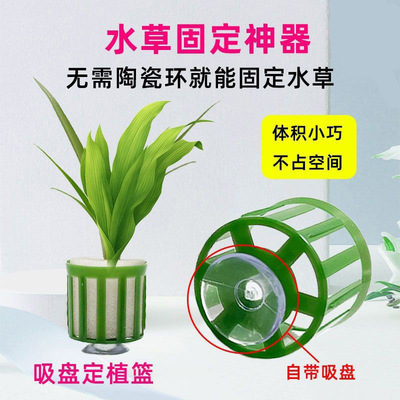 水草固定环吸盘定植篮三件套水草定植绵大号定植篮鱼缸造景养草杯