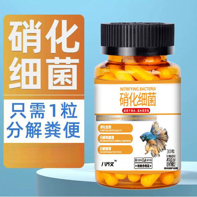 浓缩型硝化细菌胶囊鱼缸净水剂澄清水质分解鱼粪净化水体鱼缸清洁