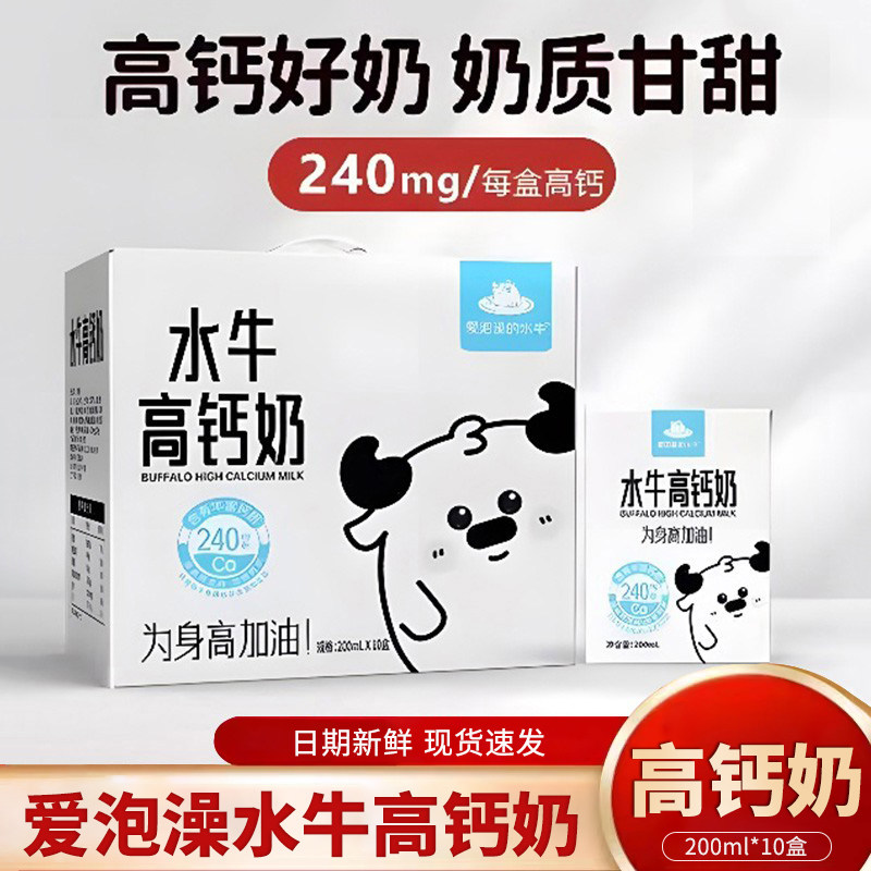 爱泡澡的水牛高钙奶200ml*10盒儿