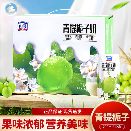 忠厚青提栀子牛奶200ml*6盒学生儿童老人牛奶营养早餐奶整箱礼盒