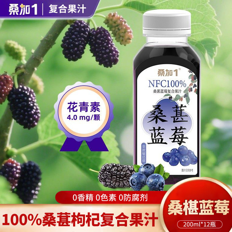 桑加1NFC100%蓝莓桑果汁蓝莓汁原浆枸杞汁花青素纯果蔬汁饮料整箱