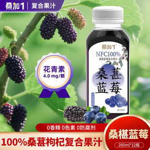 桑加1NFC100%蓝莓桑果汁蓝莓汁原浆枸杞汁花青素纯果蔬汁饮料整箱