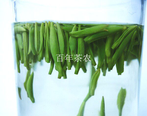 2025春茶四川峨眉山绿茶小米雀