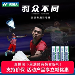 官网尤尼克斯yonex羽毛球12只yy专业训练比赛用耐打球AS05 03 02