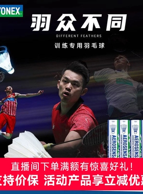 官网尤尼克斯yonex羽毛球12只yy专业训练比赛用耐打球AS05 03 02