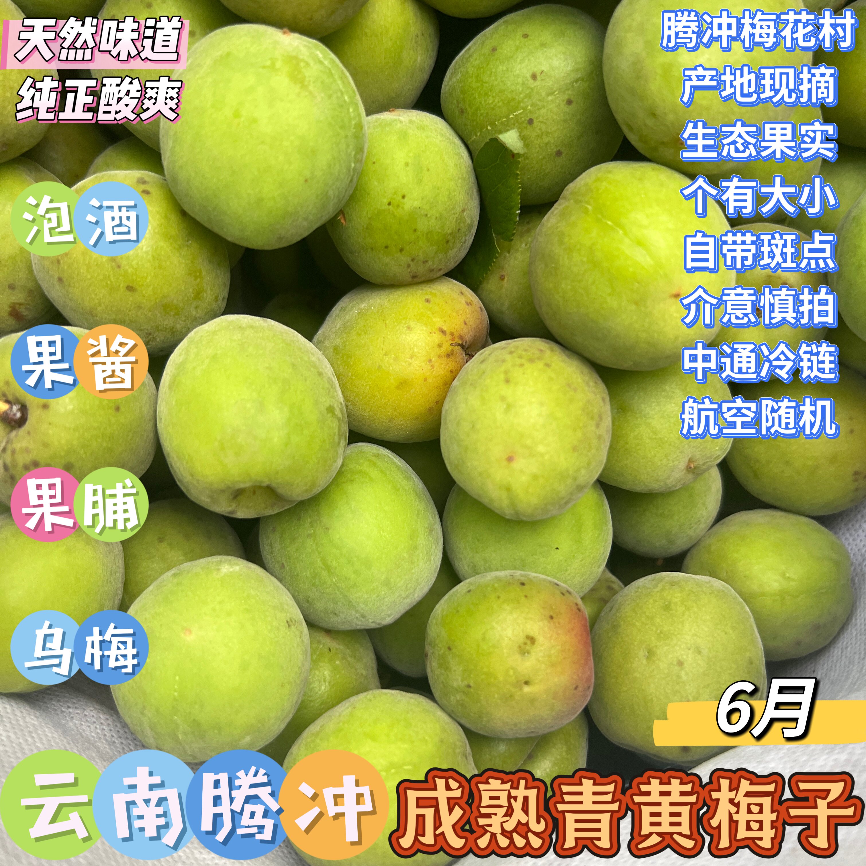 云南腾冲青黄梅子6-7月高山青梅成熟水果泡酒果酱果脯乌梅酵素