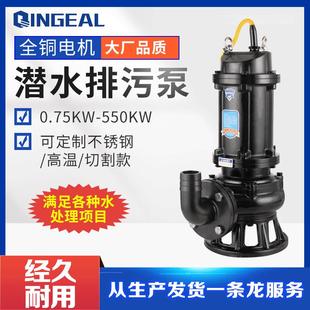 污水泵 地下污水处理大功率排污泵大流量污水泵自耦式