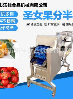 多功能果蔬分半机食品厂大型小番茄对半切设备速冻无花果劈半机