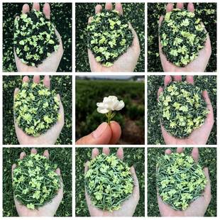 2025年新茶散装四川犍为茉莉花茶叶浓香奶茶专用久窨禹蒙飘雪