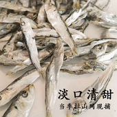 福建本港沙丁鱼500g特小鱼干鱼仔海鲜干货海产东山岛特产2件 包邮