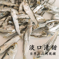 福建本港沙丁魚500g特小魚干魚仔海鮮干貨海產(chǎn)東山島特產(chǎn)2件包郵
