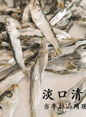 福建本港沙丁鱼500g特小鱼干鱼仔海鲜干货海产东山岛特产2件包邮