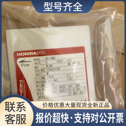 HORIB D519MG N2 1000 SCCM D519MG BLNK 300SCCM议价