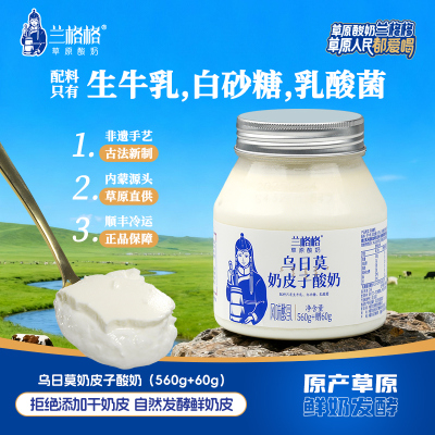 兰格格奶皮子酸奶内蒙古特产
