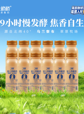 兰格格草原内蒙炭烧熟酸奶210g*12瓶酸奶便携小瓶便携随身装