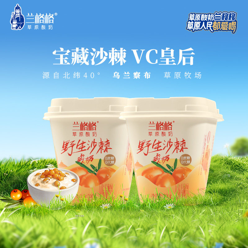 兰格格草原酸奶野生沙棘300g*2杯0蔗糖0代糖低温健康沙棘果酸奶