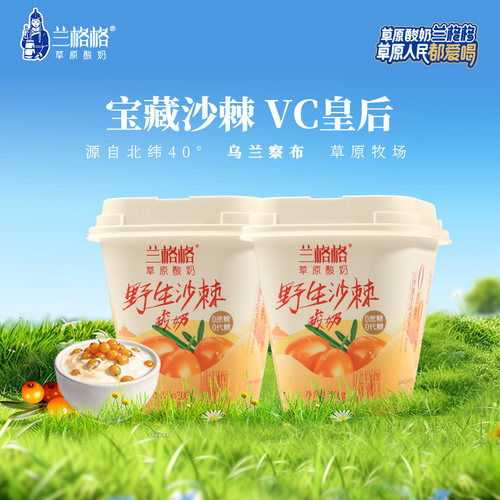 兰格格草原酸奶野生沙棘300g*2杯0蔗糖0代糖低温健康沙棘果酸奶