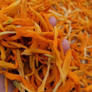 福建黄花菜台湾品种电烤黄花菜干货500克