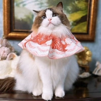 Модель подтверждения крема для вентилятора