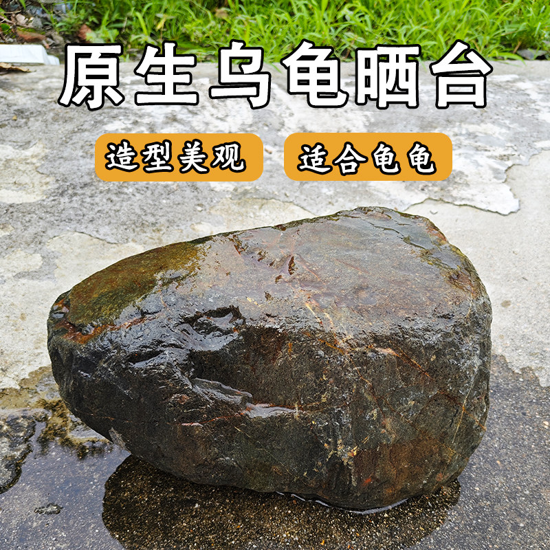天然水龟晒背躲避屋爬台