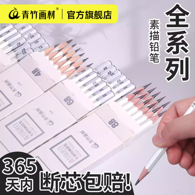 青竹素描铅笔美术生专用炭笔素描速写笔初学者素描绘画工具套装2b4b6b8b12b14b软中硬绘图HB2H美术用品
