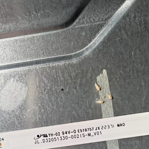 适用长虹32M2 32D4PF灯条JL.D32051330-002IS-M_V01液晶电视背光