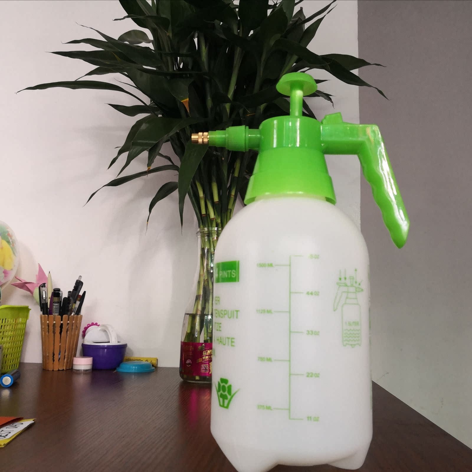 5l家用小喷壶喷雾器洒水壶塑杀虫喷雾器杀跳蚤虱子用品