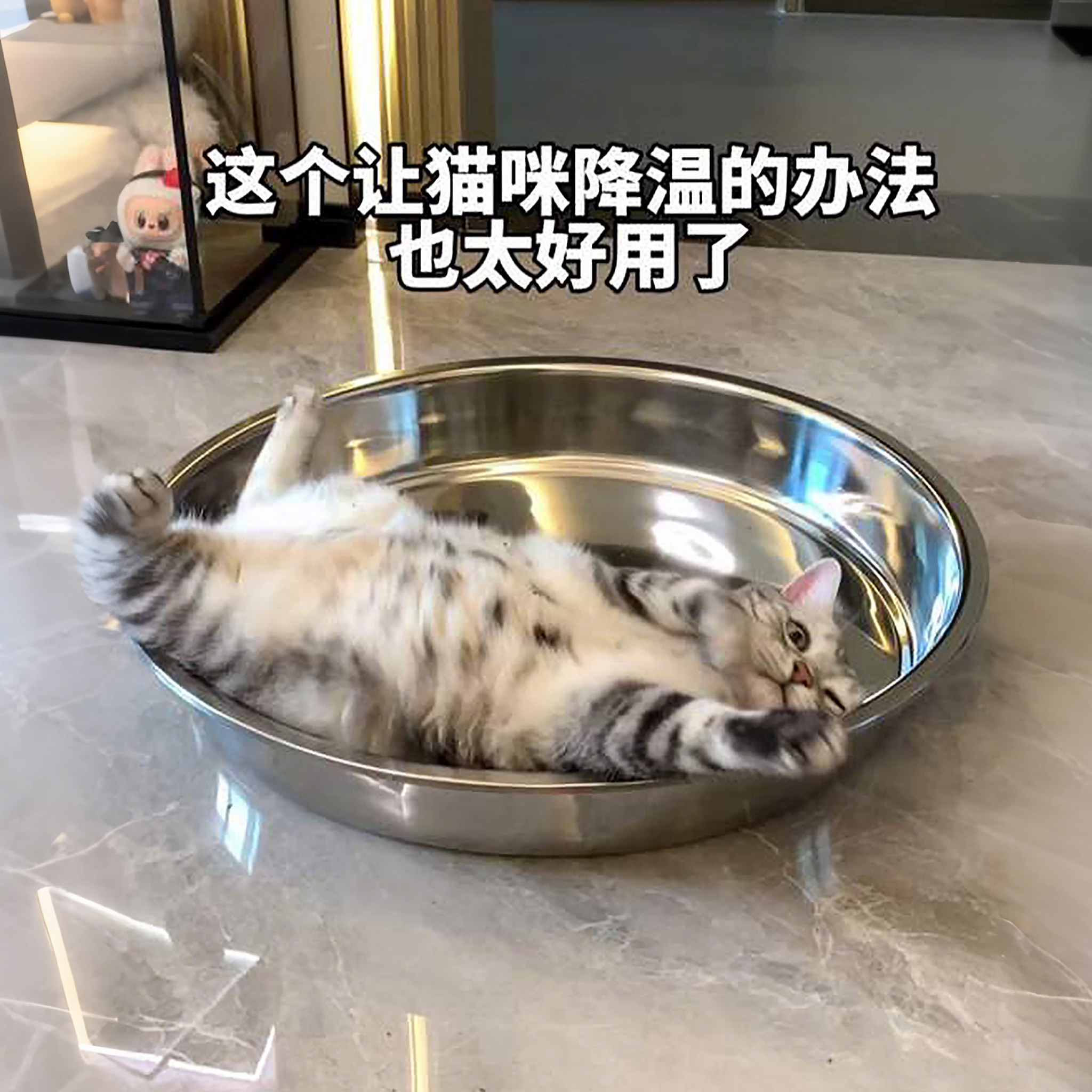 不锈钢宠物冰垫猫窝狗窝四季通用猫咪纳凉窝防抓耐磨夏季宠物凉垫