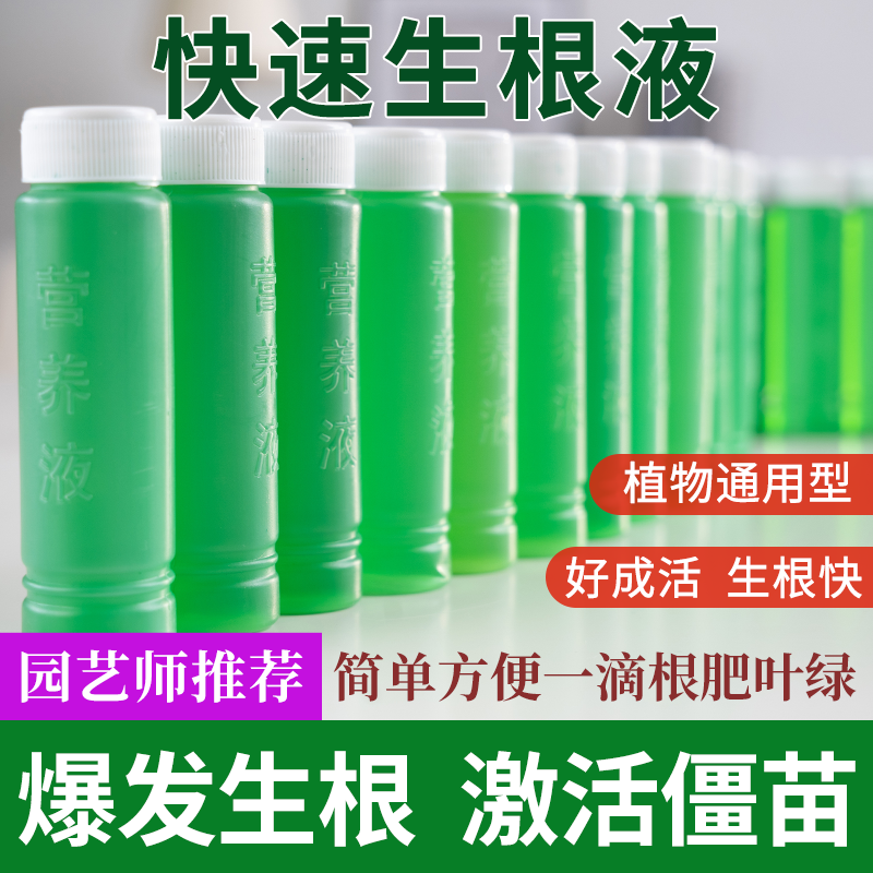 水培植物通用营养液多肉盆栽花木观叶肥料养花富贵竹水养绿箩绿叶