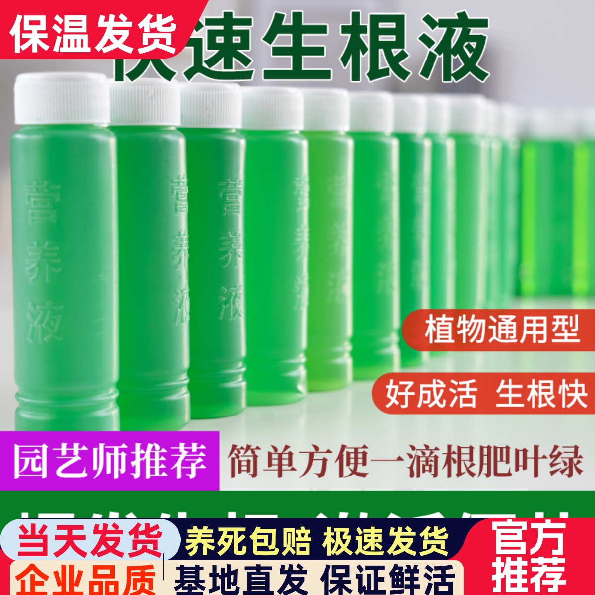 水培植物通用营养液多肉盆栽花木观叶肥料养花富贵竹水养绿箩绿叶