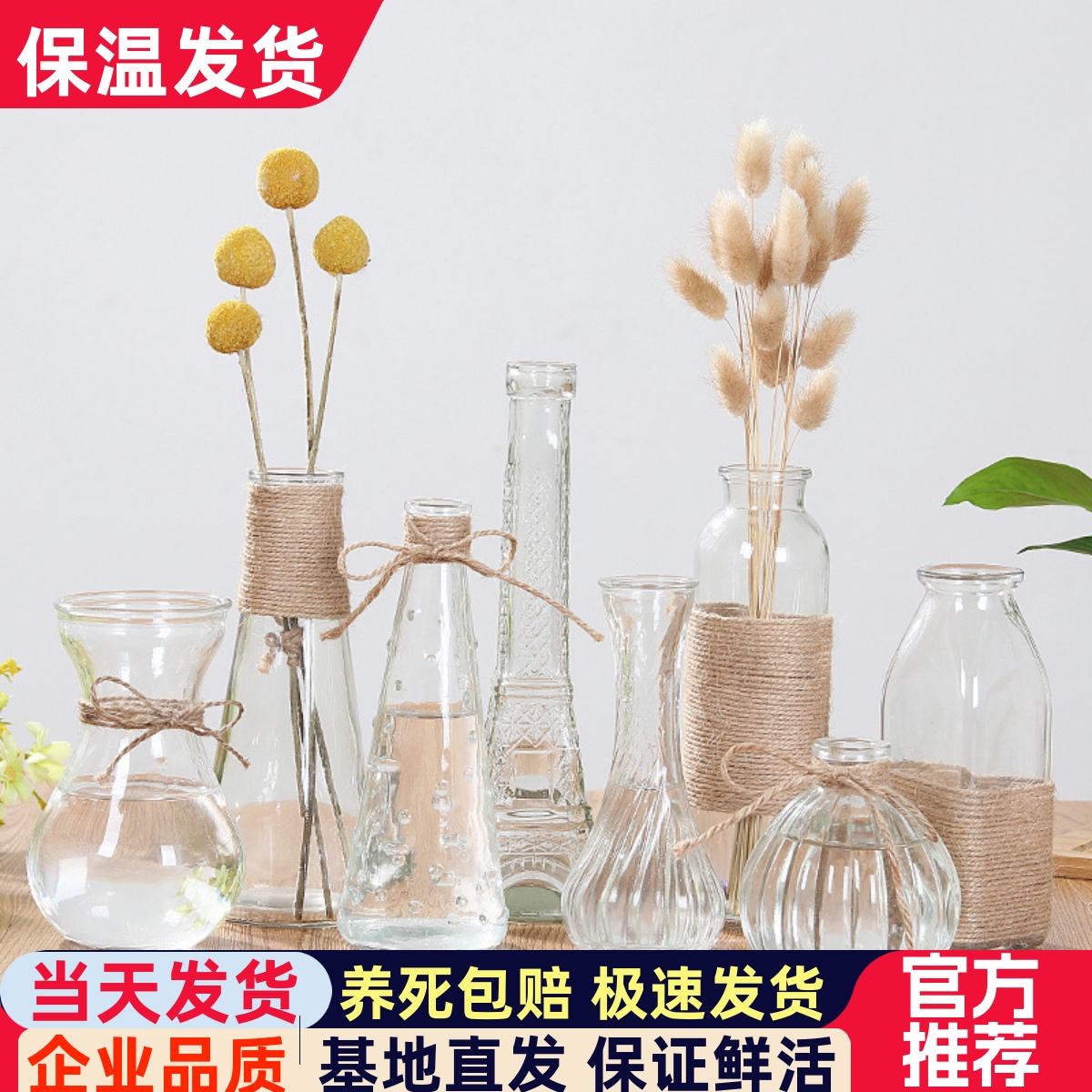 水培植物容器绿萝桌面玻璃花瓶