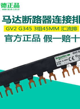 议价施耐德电机保护梳状三极63A母排 GV2-G345 GV2G345议价