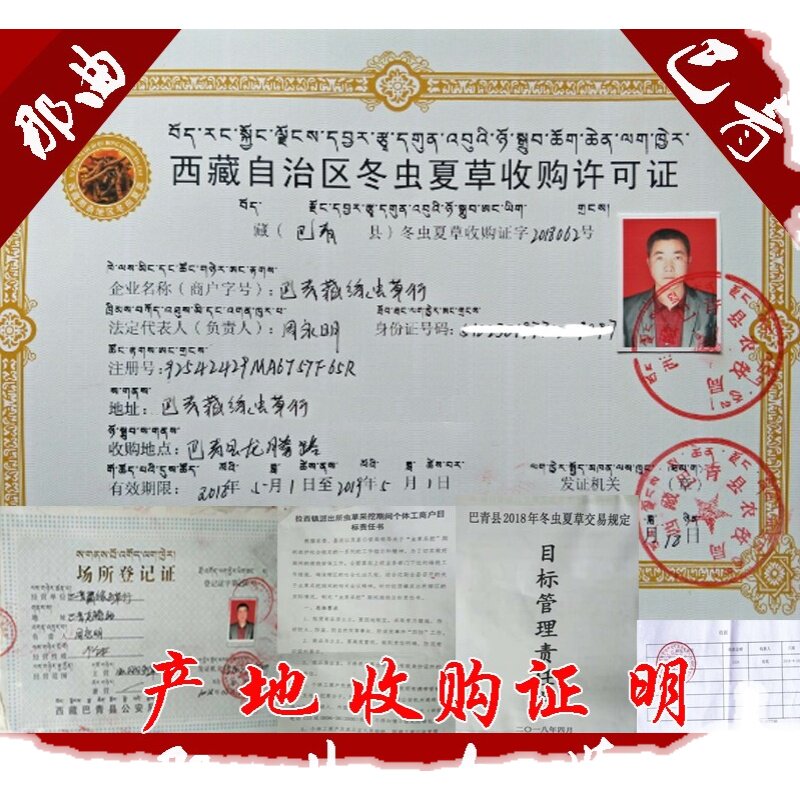 2022年干货新鲜冬虫夏草西藏那曲巴青产地3根多一克优惠价