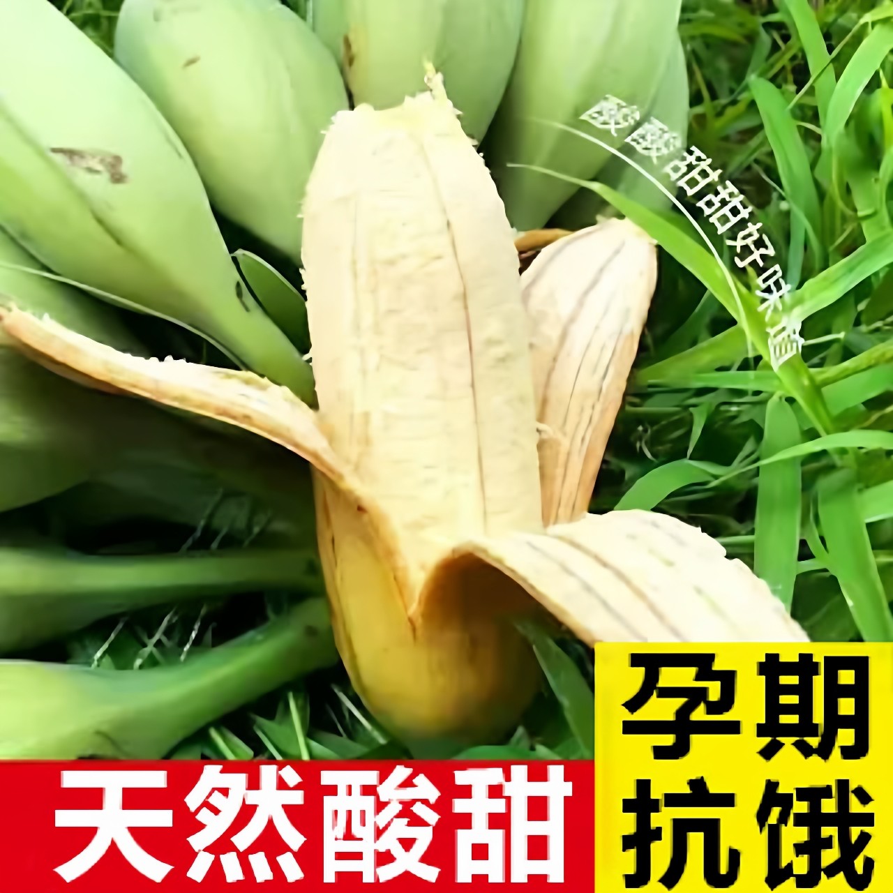 广东大芭蕉酸甜大蕉大个大号牛蕉牛角蕉孕妇水果应季低糖水果新鲜