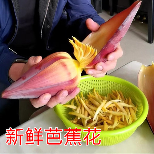 广东新鲜芭蕉心花现摘现发